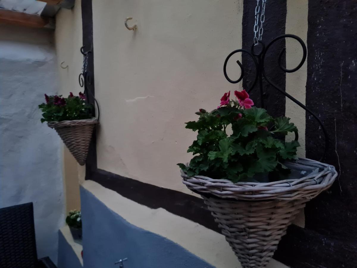 Ferienhaus Schatzliebe Quedlinburg Exteriör bild